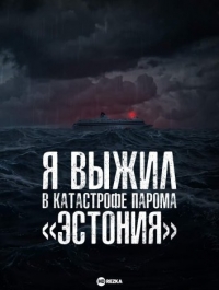 Я выжил в катастрофе парома «Эстония»